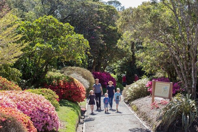 Pukeiti Rhododendron Trust Inc
